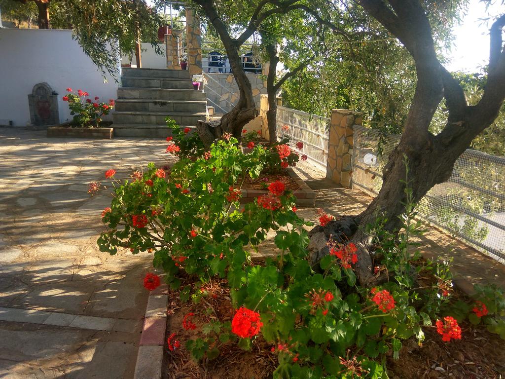 Karantola Studios Kallirachi Skala Kallirakhis Exterior photo